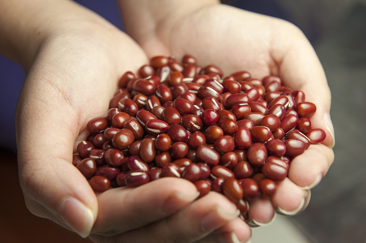 Panduan Nutrisi Kehamilan: Kacang Merah